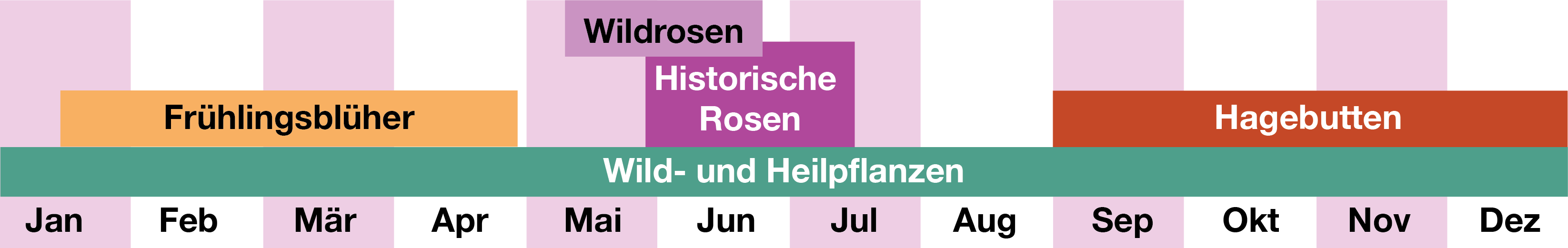 Blühkalender Rosengarten am Schloßberg.